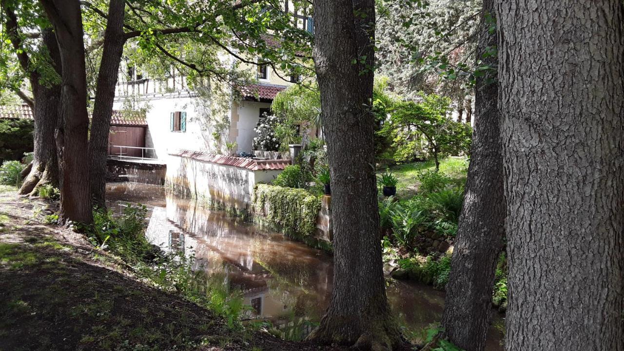 Hotel-Restaurant Bergmuehle Neudrossenfeld Kültér fotó